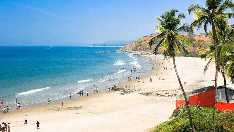 Wondrous GOA