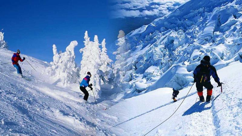 Shimla & Manali Tour 05N 06D