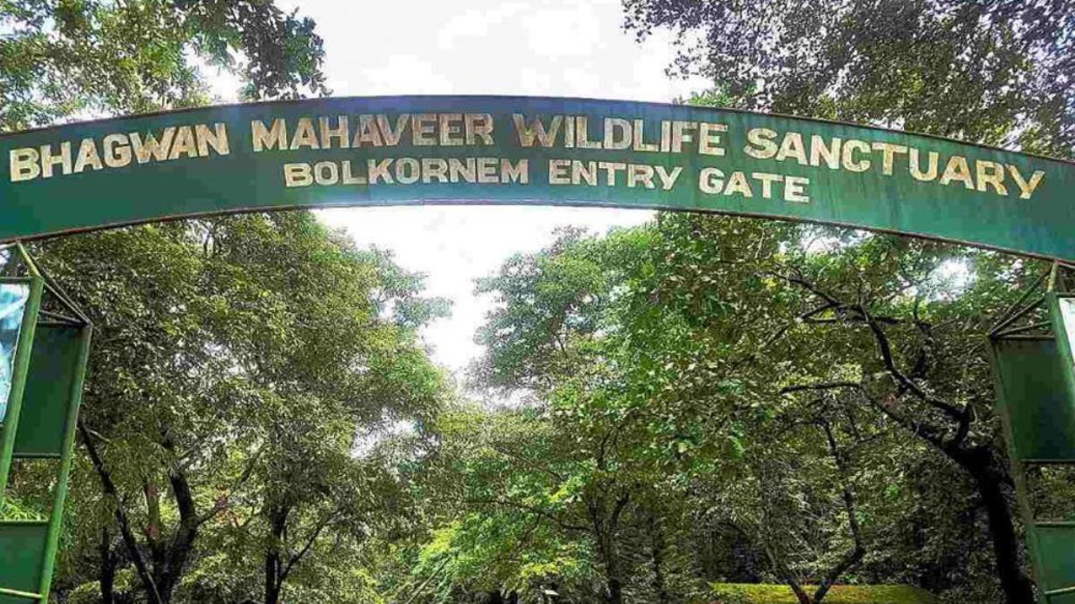 Bhagwan Mahavir Sanctuary