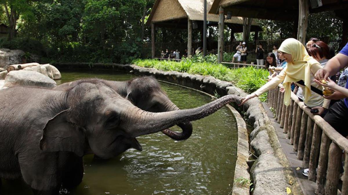 Singapore Zoo